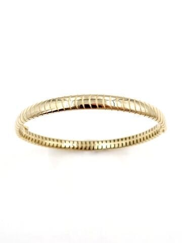 Balıksırtı Altın Kelepçe